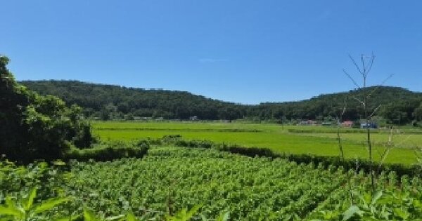 인천광역시 강화군 서도면 볼음도리 956-1  미지정 경매 물건 이미지
