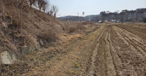 충청남도 당진시 수청동 82 답 경매 물건 이미지