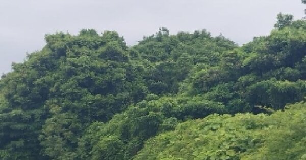 제주특별자치도 서귀포시 성산읍 난산리 820 전 경매 물건 이미지