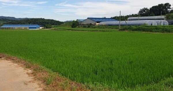 충청남도 홍성군 홍동면 홍원리 1120-6 답 경매 물건 이미지