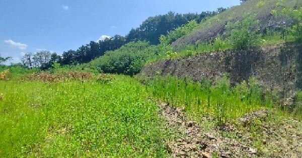 충청남도 서천군 한산면 동산리 208-4 전 경매 물건 이미지