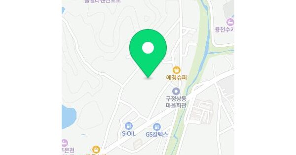 경상북도 경주시 구정동 226-1  미지정 경매 물건 이미지