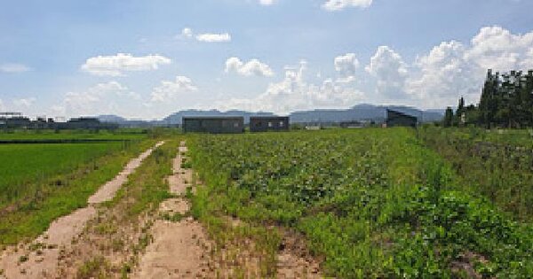 충청남도 예산군 삽교읍 삽교리 129-3 답 경매 물건 이미지