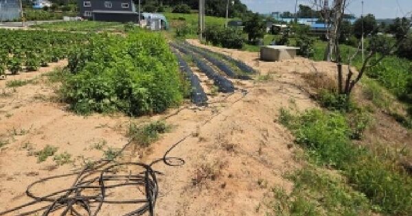 충청남도 아산시 둔포면 둔포리 341  미지정 경매 물건 이미지