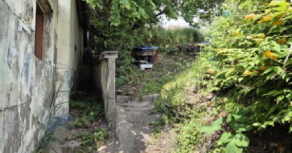 울산광역시 남구 장생포동 208-9 전 경매 물건 이미지