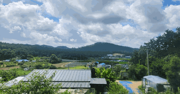 충청남도 서산시 팔봉면 어송리 309 전 경매 물건 이미지