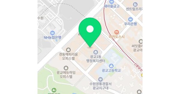 경기도 수원시 영통구 이의동 1349 광교더로프트  4층451호 미지정 경매 물건 이미지