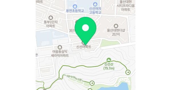 울산광역시 남구 야음동 796-17 야음신선아파트 102동 4층 410호 미지정 경매 물건 이미지