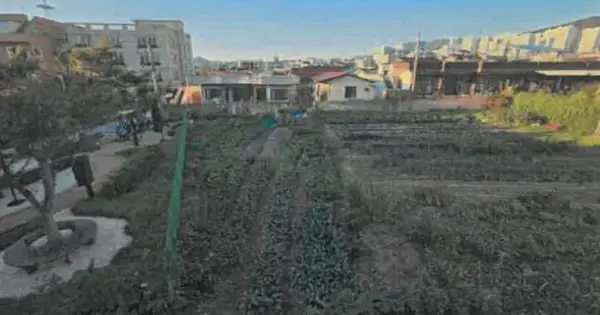 울산광역시 북구 호계동 668-6 전 경매 물건 이미지