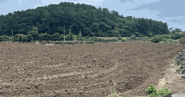 제주특별자치도 서귀포시 성산읍 오조리 289  미지정 경매 물건 이미지