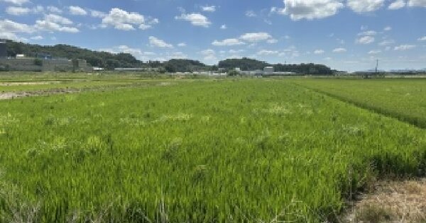 충청북도 진천군 광혜원면 금곡리 388  미지정 경매 물건 이미지