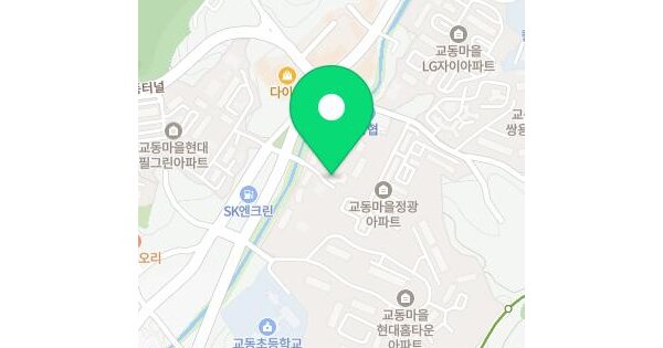 경기도 용인시 기흥구 마북동 641 교동마을동양파라곤 106동 6층601호 미지정 경매 물건 이미지