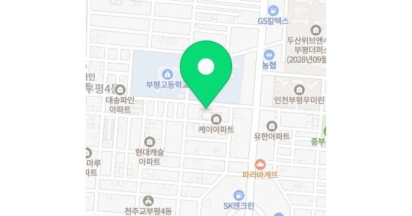 인천광역시 부평구 부평동 379-49 스카이아파트  10층1003호 미지정 경매 물건 이미지