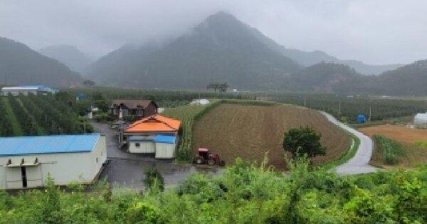 강원특별자치도 정선군 임계면 용산리 225  미지정 경매 물건 이미지