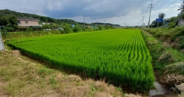충청남도 서산시 해미면 오학리 130-1  미지정 경매 물건 이미지