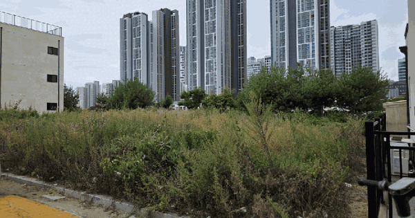 경기도 평택시 고덕동 1990-5  미지정 경매 물건 이미지