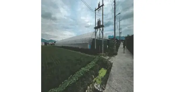 부산광역시 강서구 대저2동 536-14  답 경매 물건 이미지