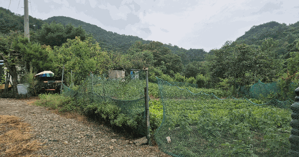 충청남도 금산군 진산면 두지리 503  미지정 경매 물건 이미지