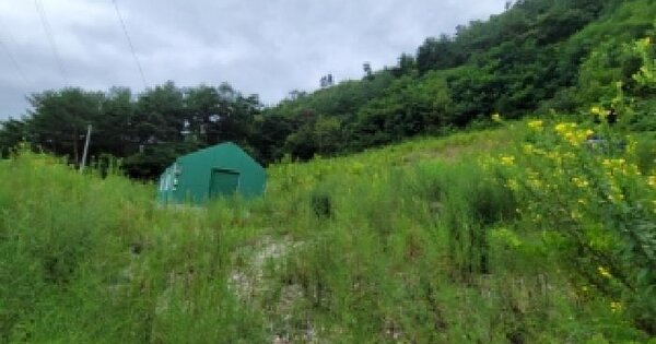 강원특별자치도 정선군 북평면 나전리 191-22  미지정 경매 물건 이미지