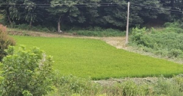 충청북도 청주시 청원구 북이면 장재리 107  미지정 경매 물건 이미지