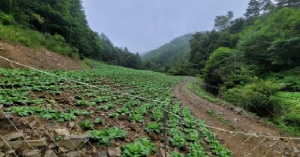 강원특별자치도 태백시 혈동 190  미지정 경매 물건 이미지