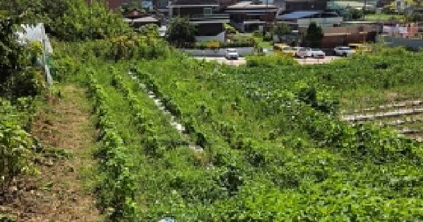 충청남도 홍성군 홍성읍 남장리 95-67  미지정 경매 물건 이미지
