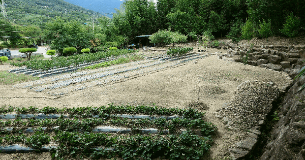 경상남도 산청군 신안면 신안리 762  미지정 경매 물건 이미지