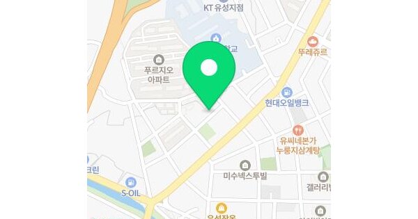 대전광역시 유성구 장대동 264-17  미지정 경매 물건 이미지