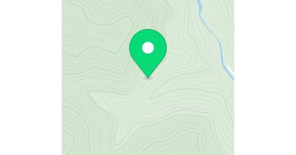 강원특별자치도 태백시 원동 산79  미지정 경매 물건 이미지