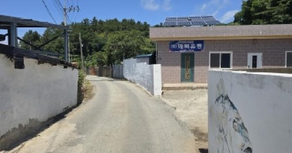 전라남도 완도군 신지면 대곡리 1267-9  미지정 경매 물건 이미지