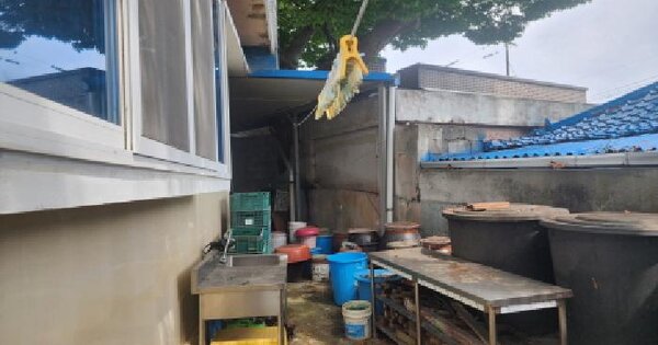 전남광주통합특별시 여수시 화양면 장수리 956-3  미지정 경매 물건 이미지