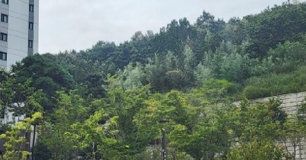 전남광주통합특별시 광양시 성황동 산86-8  미지정 경매 물건 이미지