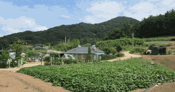 전남광주통합특별시 함평군 손불면 북성리 55  미지정 경매 물건 이미지
