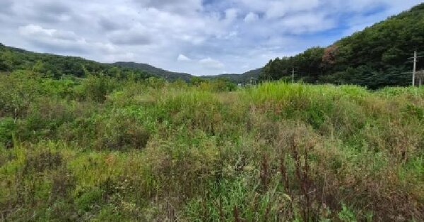 경기도 안성시 죽산면 매산리 308-3  미지정 경매 물건 이미지