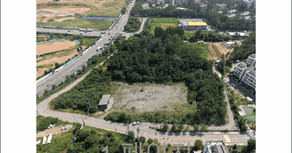 전남광주통합특별시 광산구 비아동 산103  미지정 경매 물건 이미지
