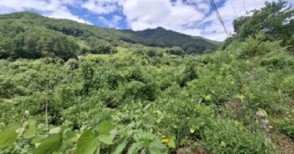 경상남도 산청군 시천면 내대리 881  미지정 경매 물건 이미지