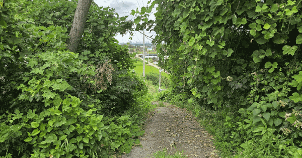 경기도 화성시 만세구 송산면 사강리 465-9  미지정 경매 물건 이미지