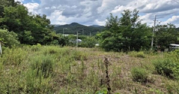 대구광역시 군위군 부계면 창평리 1134-1  미지정 경매 물건 이미지