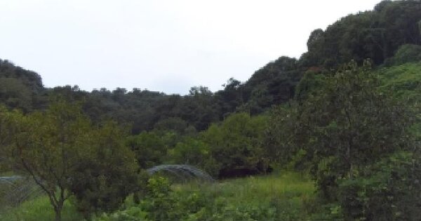 경상북도 칠곡군 기산면 각산리 산27  미지정 경매 물건 이미지