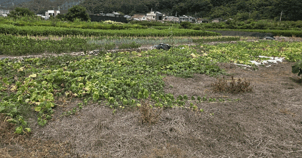 전남광주통합특별시 순천시 서면 지본리 791  미지정 경매 물건 이미지