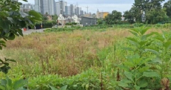 인천광역시 영종구 중산동 1265-1  미지정 경매 물건 이미지