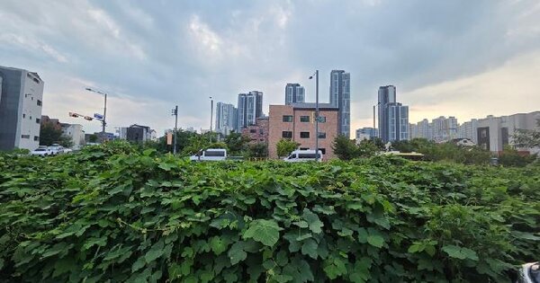 경기도 평택시 고덕동 2038-4  미지정 경매 물건 이미지