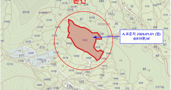 경상북도 예천군 효자면 초항리 198  미지정 경매 물건 이미지