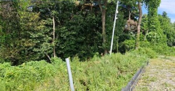 충청남도 홍성군 구항면 지정리 496-81  미지정 경매 물건 이미지