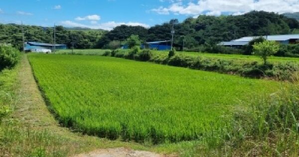 전북특별자치도 남원시 아영면 갈계리 830  미지정 경매 물건 이미지