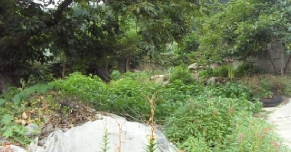 경상북도 칠곡군 기산면 각산리 75  미지정 경매 물건 이미지