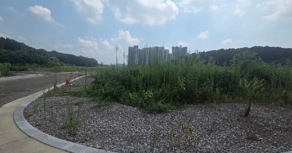 경기도 평택시 현덕면 화양리 454  미지정 경매 물건 이미지