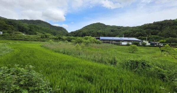 경상북도 구미시 장천면 묵어리 1340  미지정 경매 물건 이미지