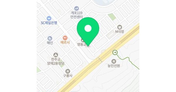 서울특별시 강남구 개포동 1169-11 가우디  4층402호 미지정 경매 물건 이미지