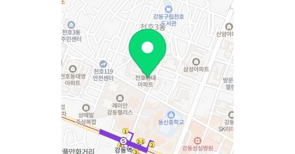 서울특별시 강동구 천호동 163-5 다성이즈빌  3층301호 미지정 경매 물건 이미지